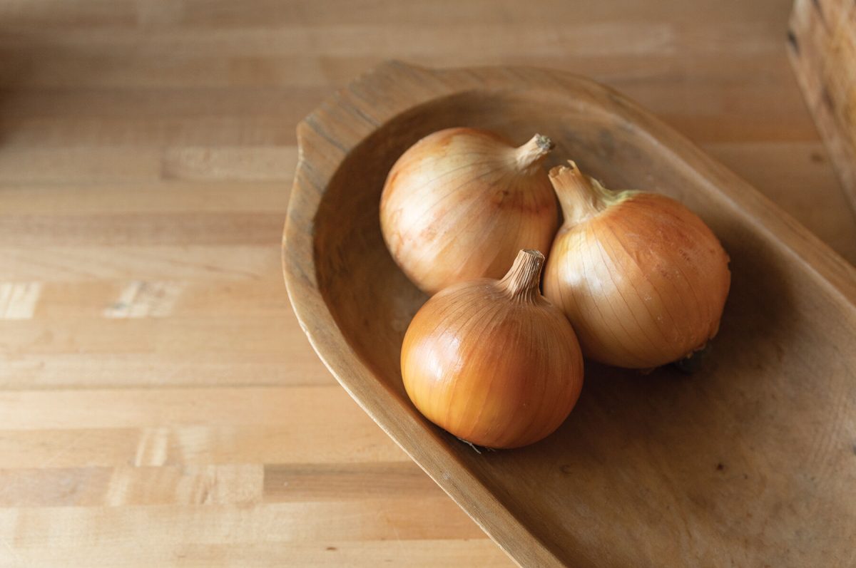 Powell – Organic Onion Seed